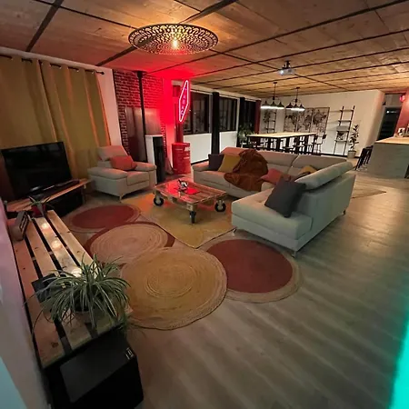 Magnifique Loft Urbain Centre,gare,parking Prive Apartment *