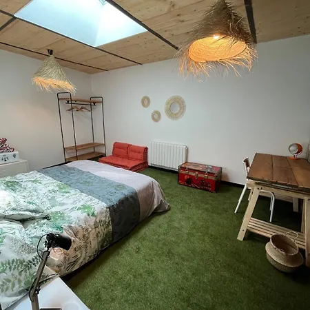 Magnifique Loft Urbain Centre,gare,parking Prive